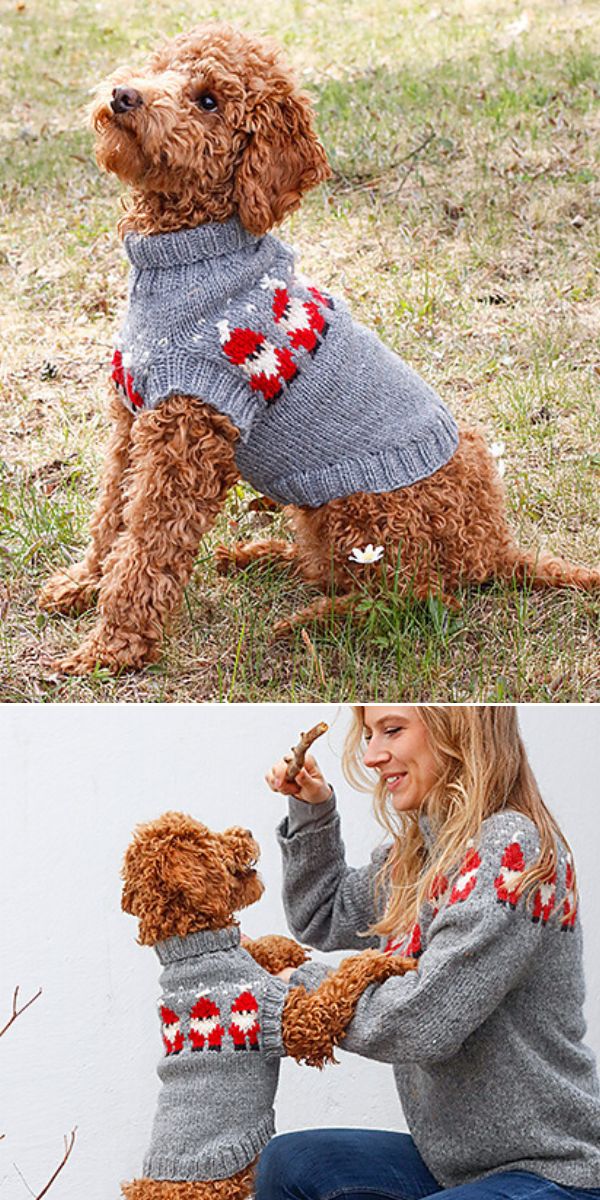 free dog jumper knitting pattern