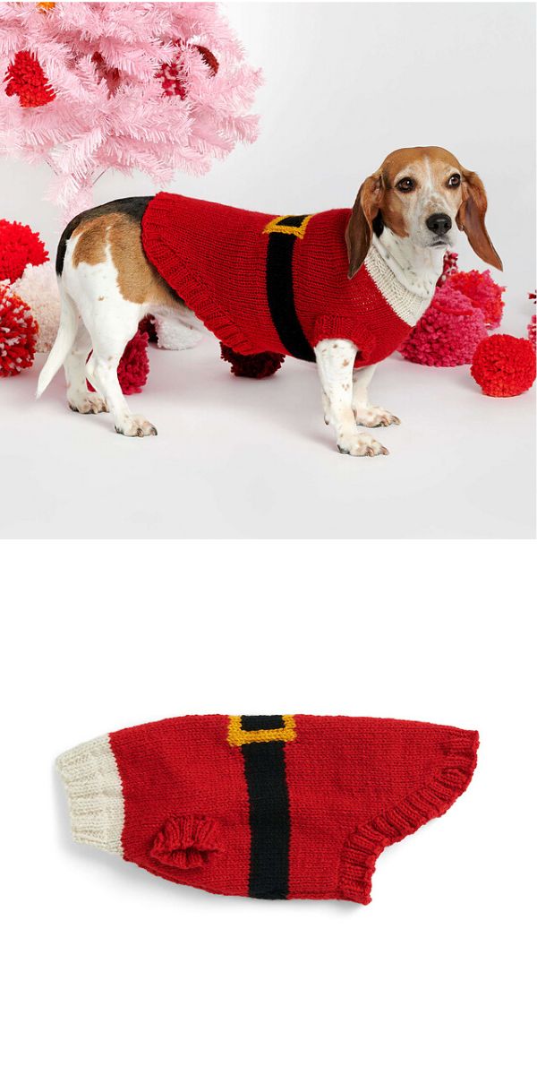 free dog coat knitting pattern