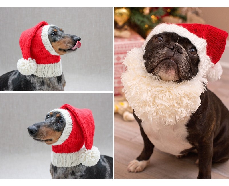 Santa Hats for Dogs Free Knitting Patterns