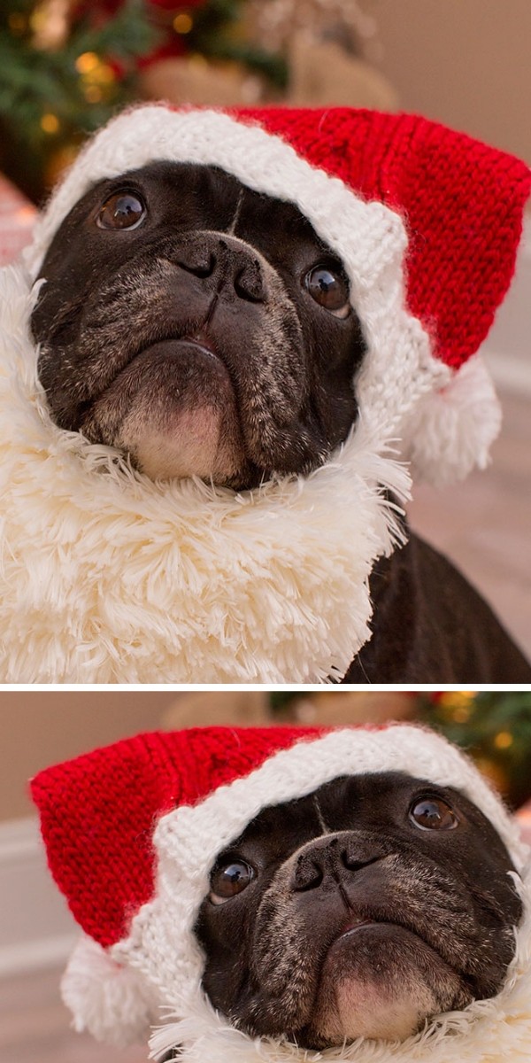 Santa Doggie Knitted Hat Free Pattern