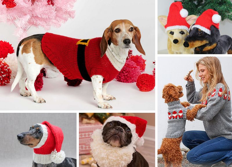Collage of dogs wearing Santa hats and coats.