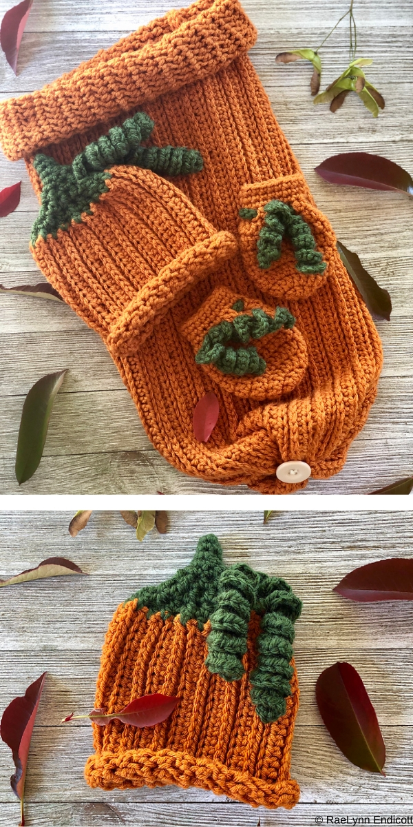 Pumpkin Newborn Set Free Crochet Pattern
