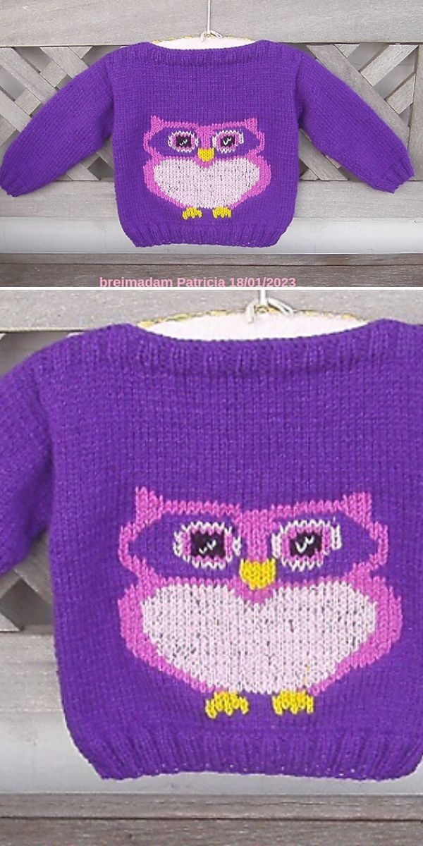 free owl sweater knitting pattern