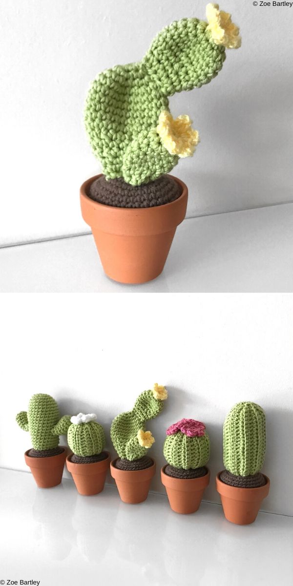 Mini Prickly Pear Cactus Free Crochet Pattern