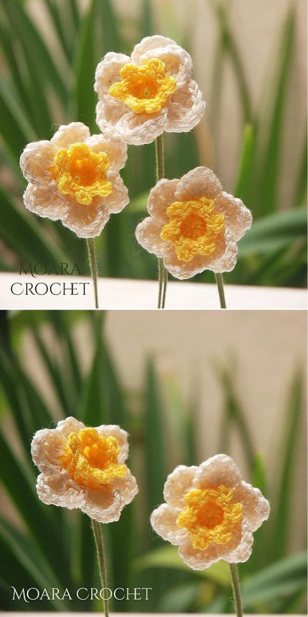 free crochet Daffodil flower pattern