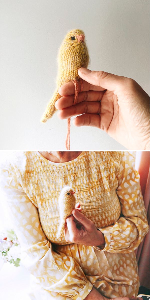 knitted canary free pattern