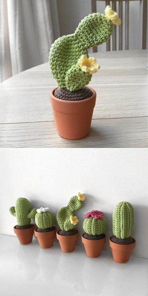crochet blooming cactus pattern