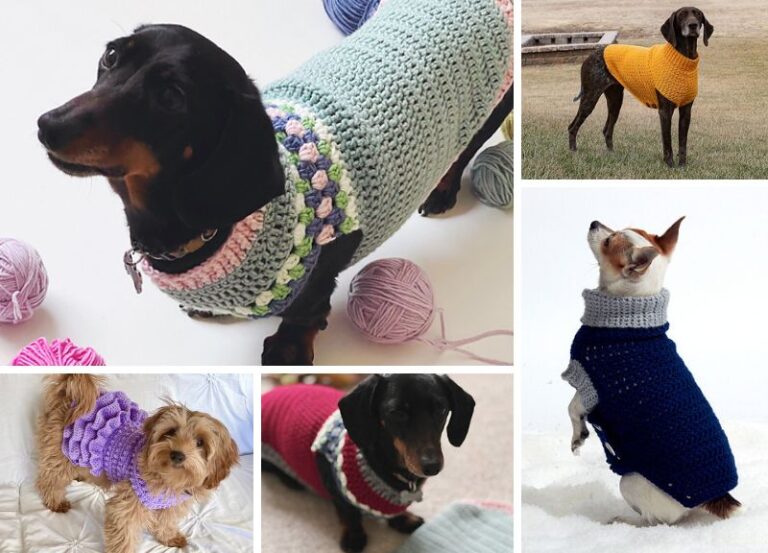 10 Cozy Dog Coats