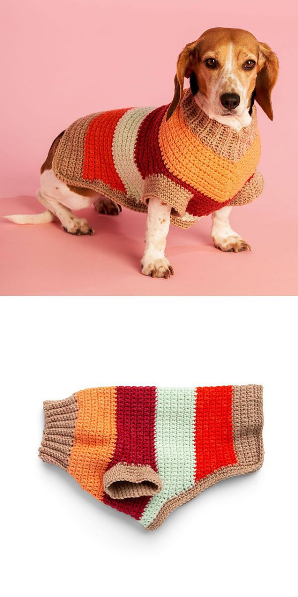 dog sweater free crochet pattern