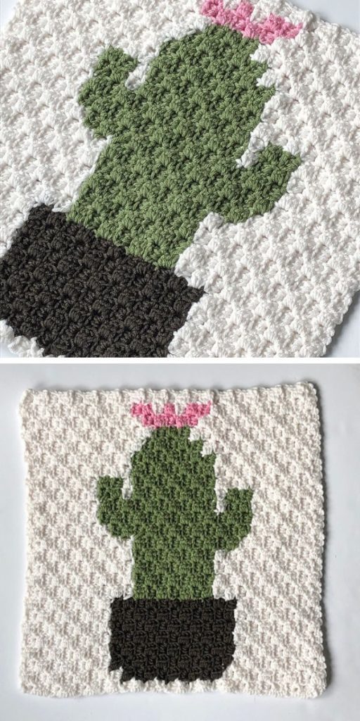 cactus baby blanket free crochet pattern