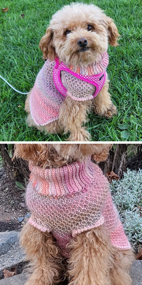 crochet dog sweater free pattern
