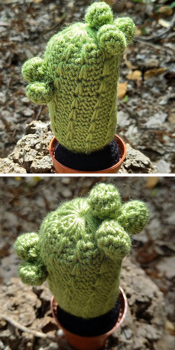 crochet cactus free pattern