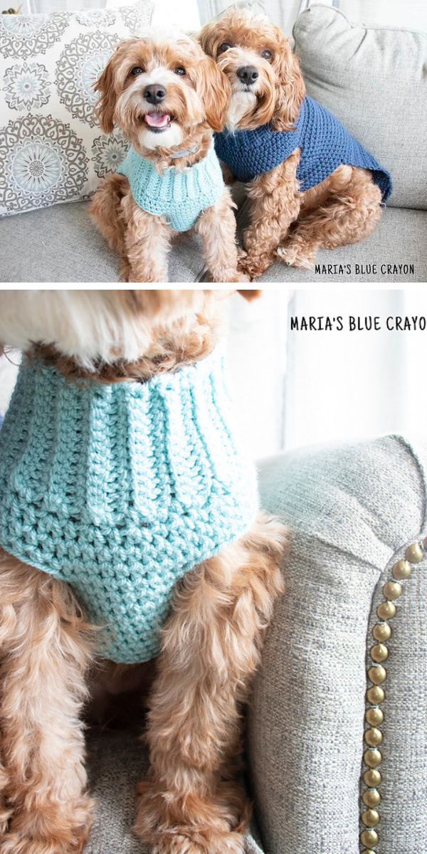 dogs in crochet jumpers