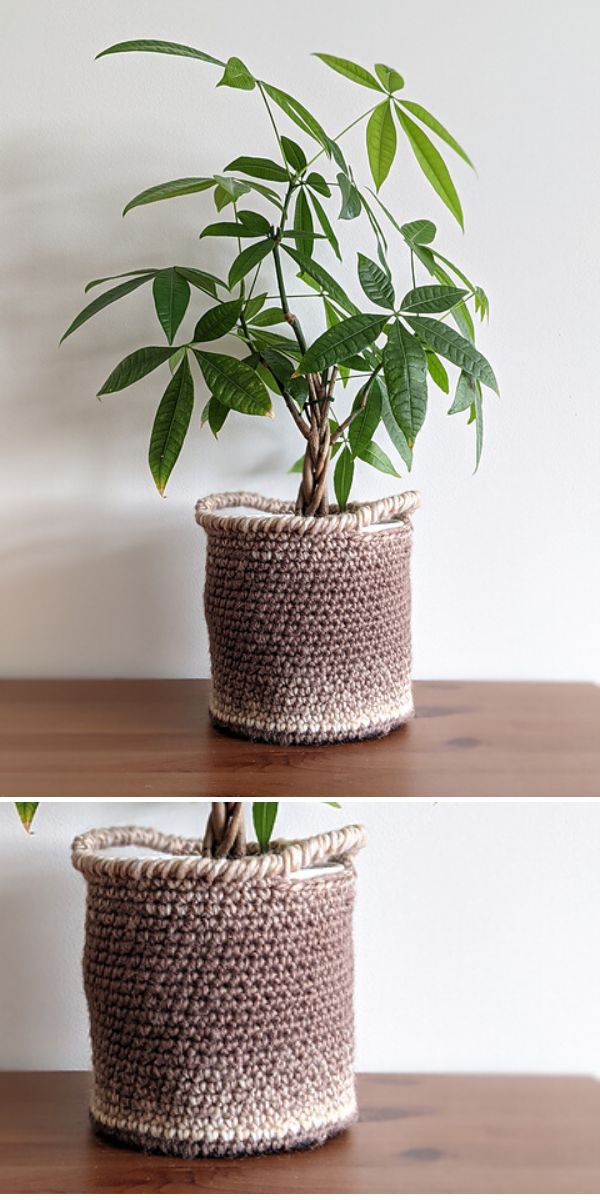 A plant in a sturdy crocheted basket.