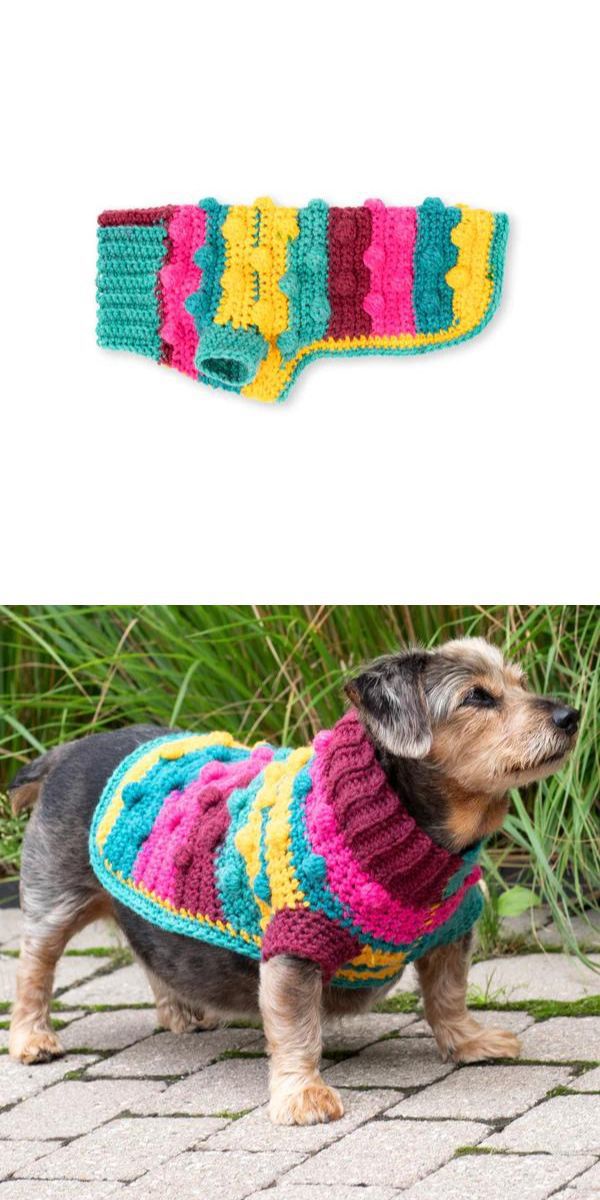 A dog wearing a cozy knitted sweater, perfect for colder weather.