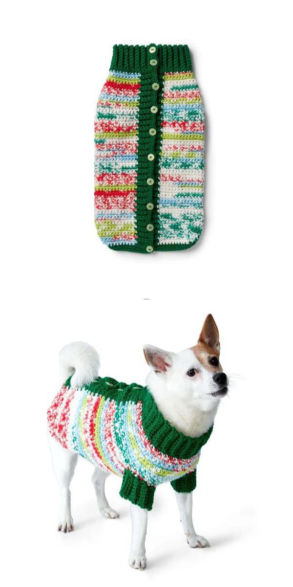 Two pictures of a dog in cozy sweaters.