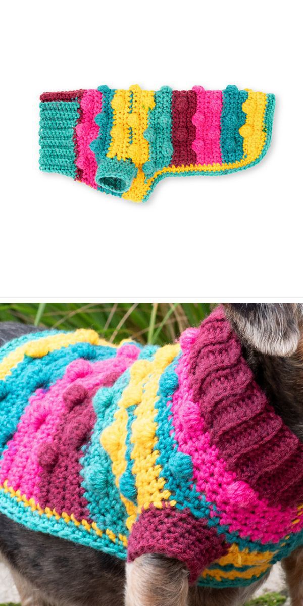 a vibrant crochet dog sweater