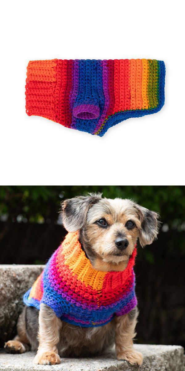 a colorful crochet dog sweater