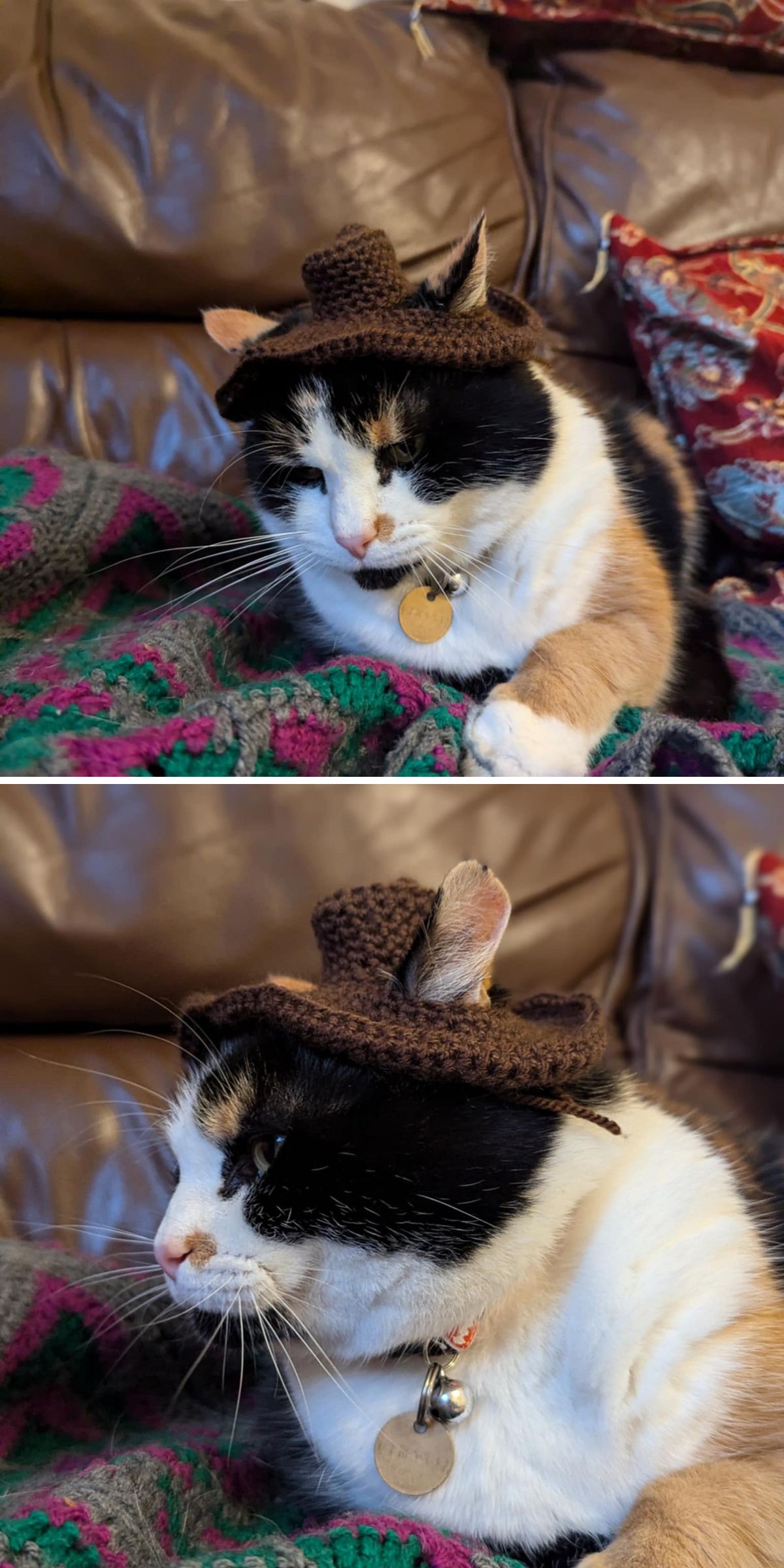 crochet cowboy hat for a cat
