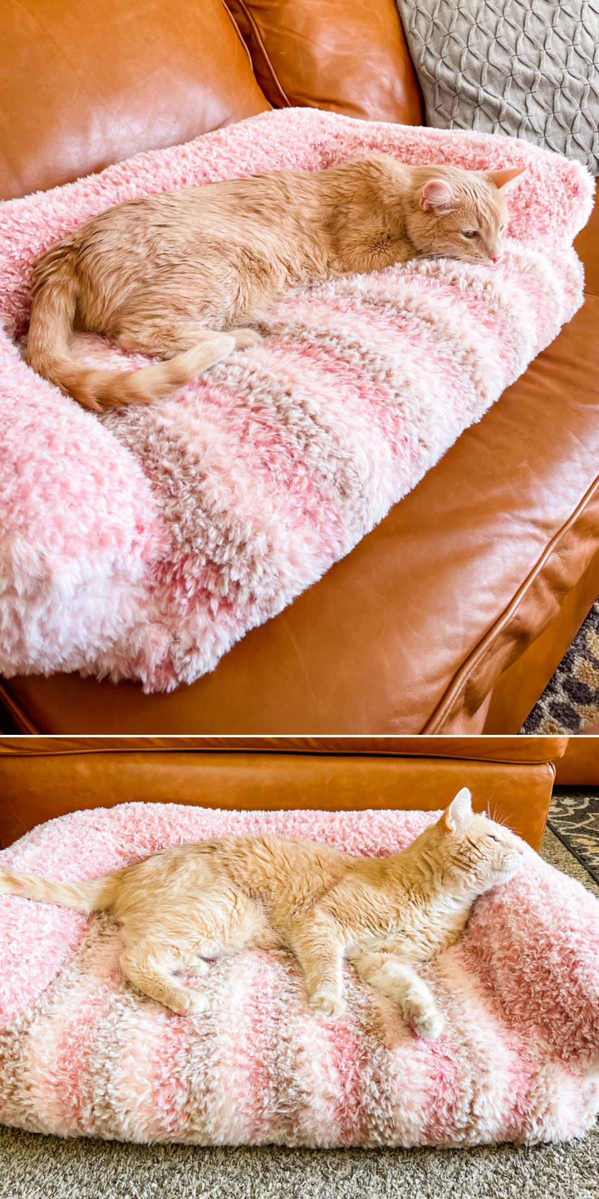 a crochet cat couch