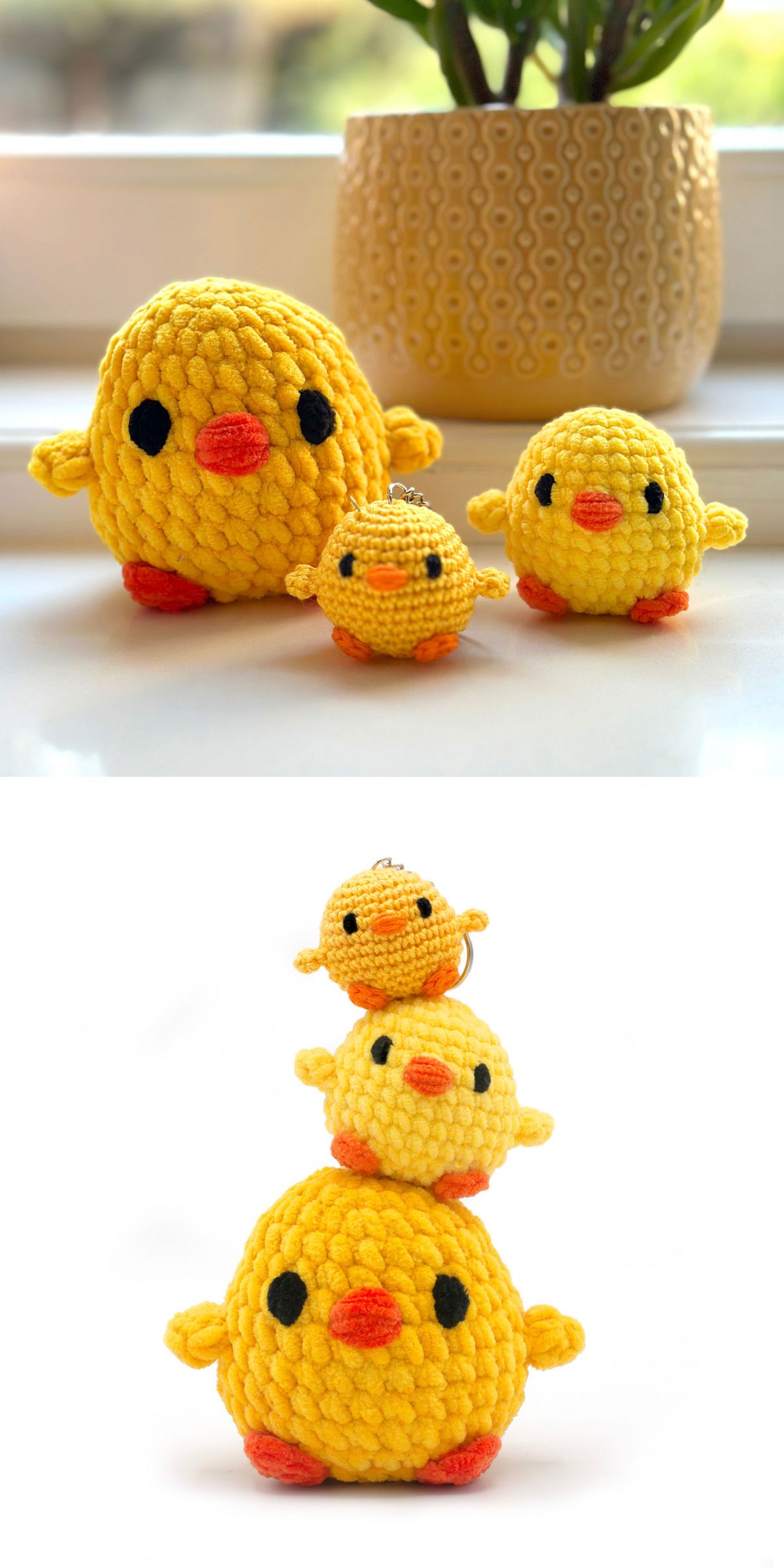 a round chunky baby chicks