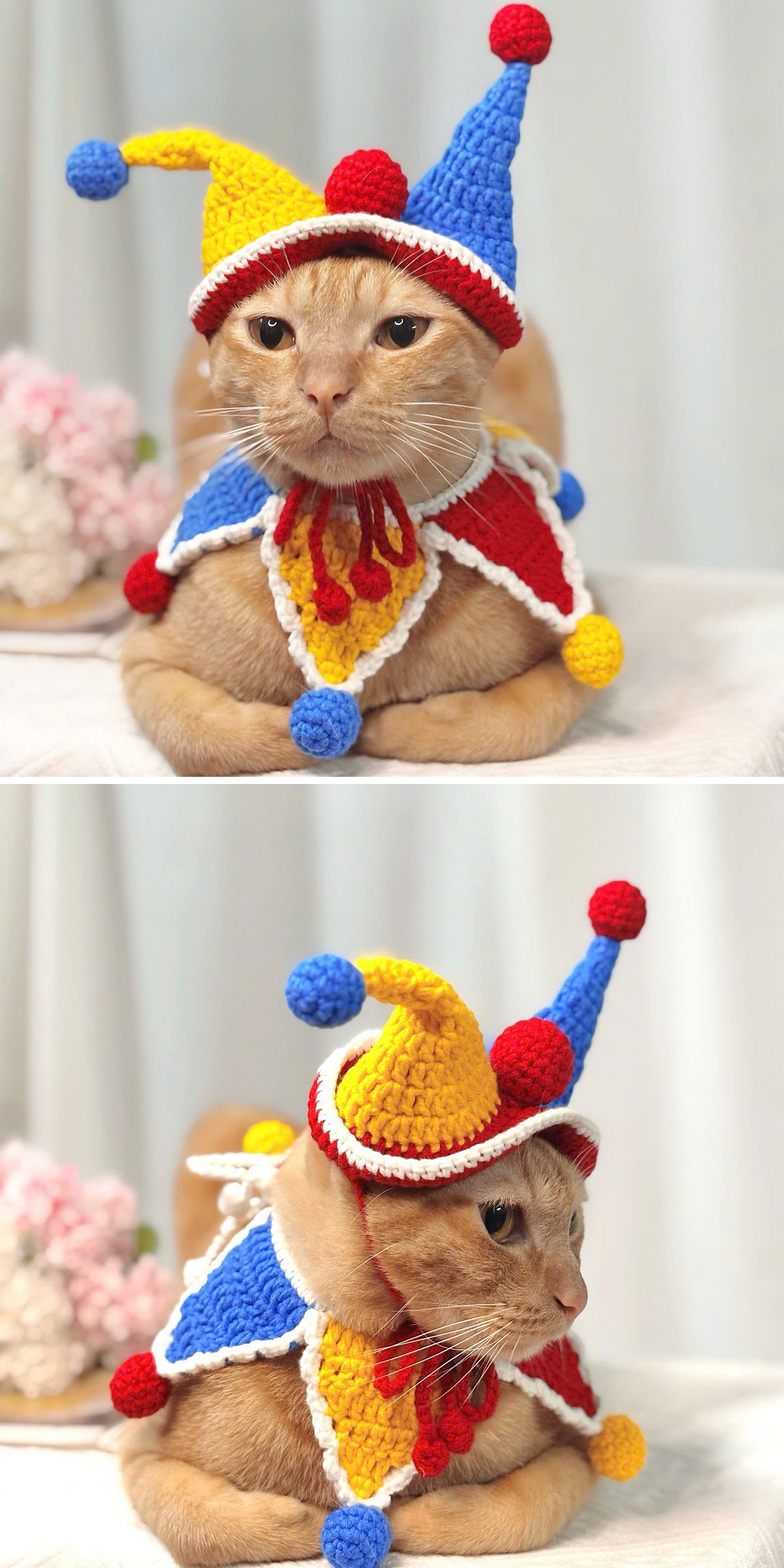 a cat wearing a colorful crochet clown hat and scarf