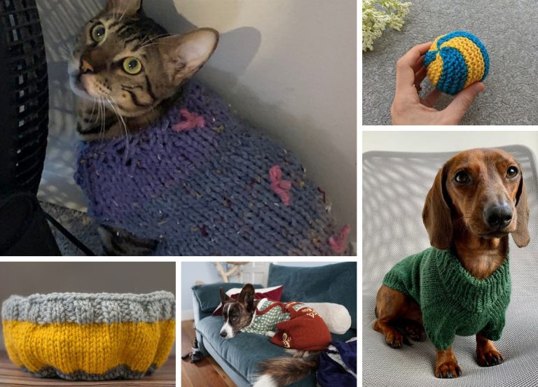 Compilation image includes a cat in a purple knitted sweater, a ball for cat's plays, a dog in a green knitted sweater, a yellow and gray knitted cat bed, and a dog in knitted hose laying on a blue sofa.