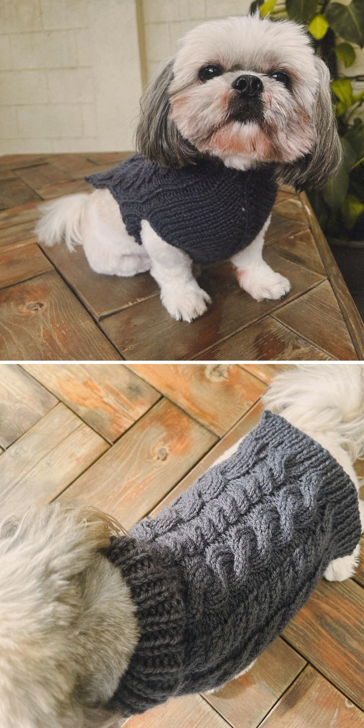 a grey knitted dog sweater with textured cables