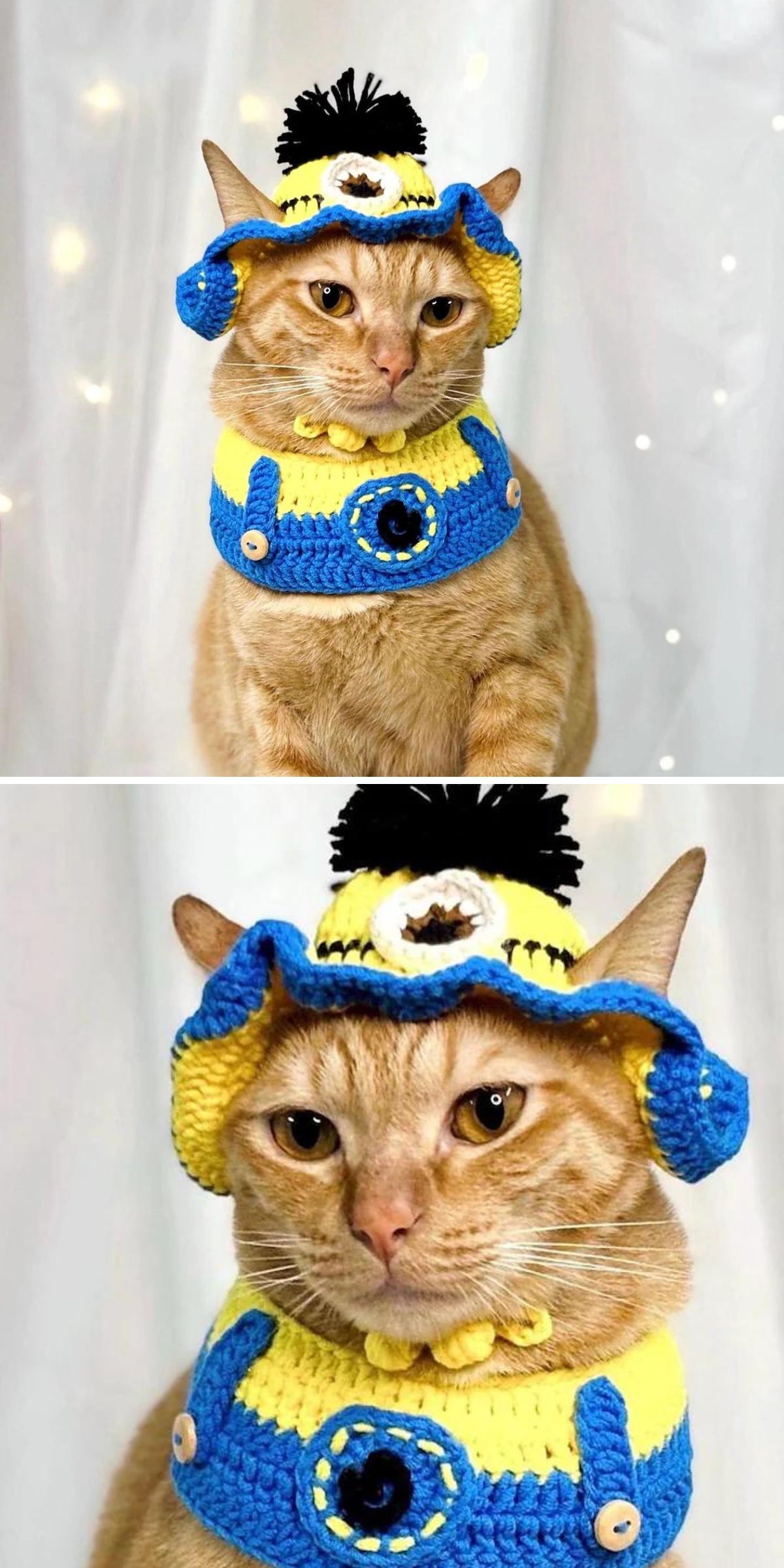 A ginger cat wears crochet cat accessories—a yellow and blue Minion-inspired costume with a matching hat and collar—against a light background.