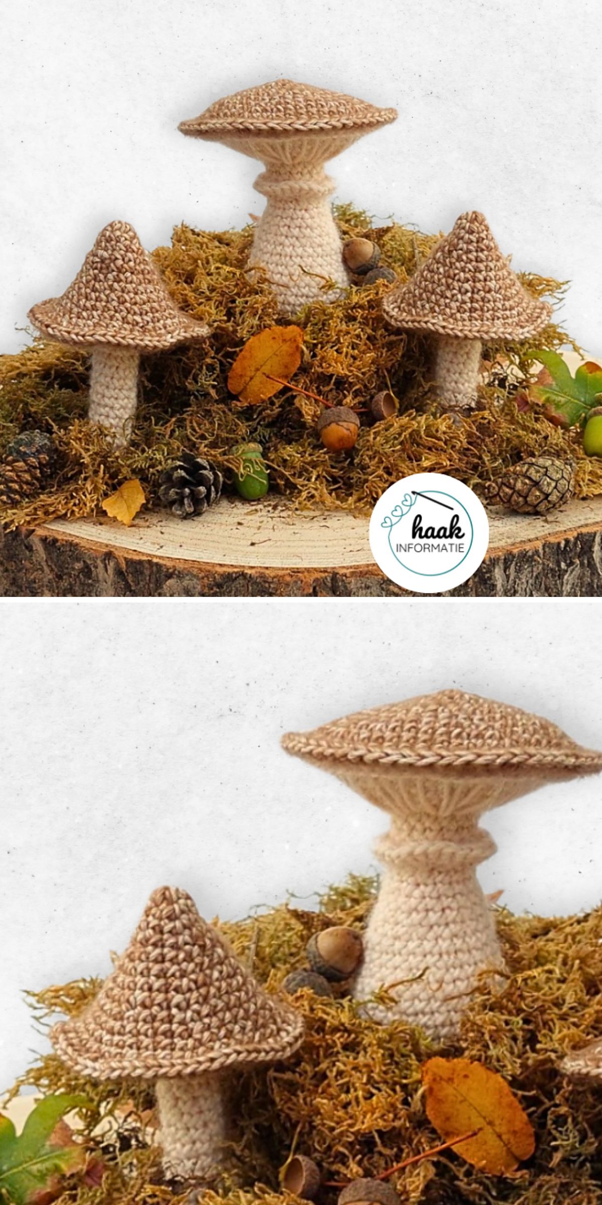crochet mushrooms with a realistic design