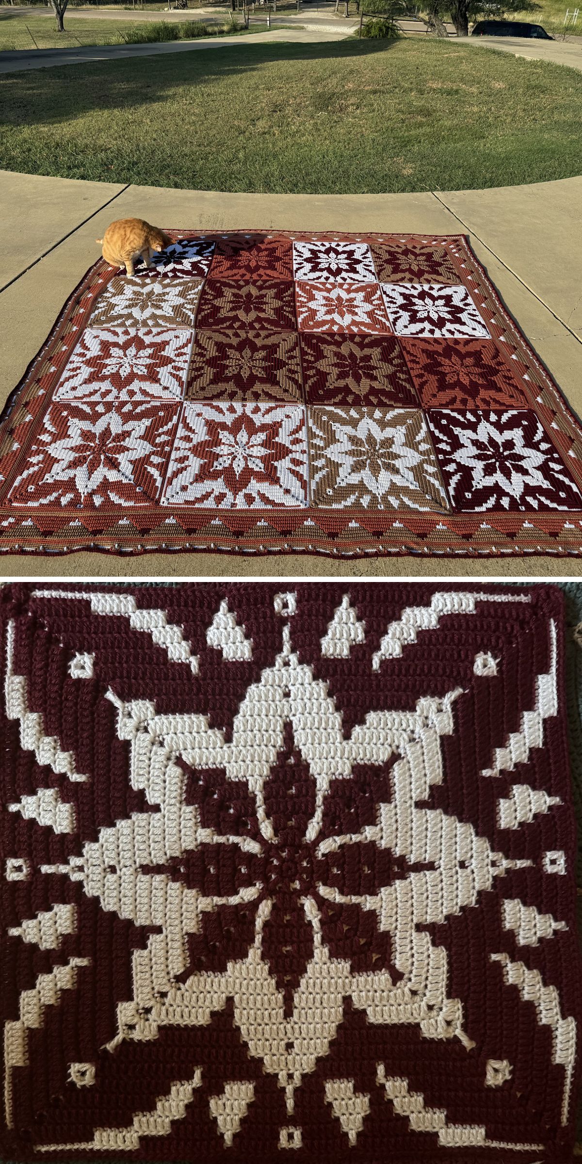 A large crochet granny square blanket with red, brown, and white star patterns is spread on a sidewalk; a cat is lying on one corner. Close-up shows detailed crochet work.