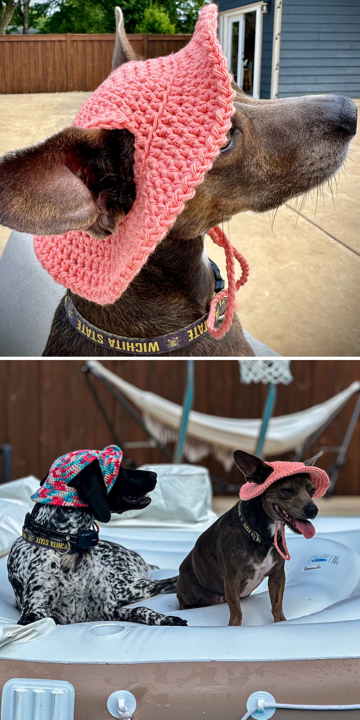 two dogs in funny crochet bucket hats