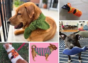 A collage of dogs wearing crocheted accessories, including bandanas, Dog Sweaters, and harnesses, holding Crochet Dog Toys in various indoor and outdoor settings.