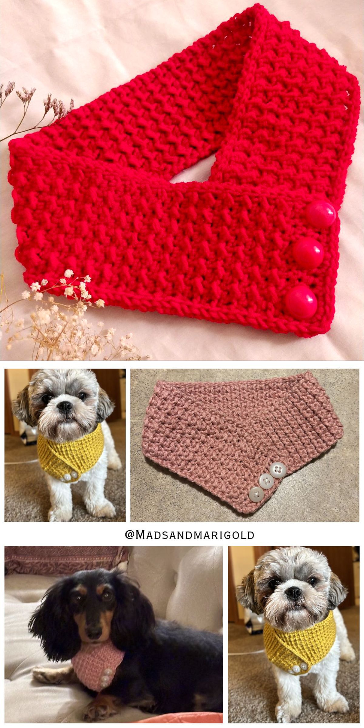 A red crocheted scarf with buttons, a crocheted dog bandana with buttons, and two dogs wearing yellow and pink crochet dog accessories.