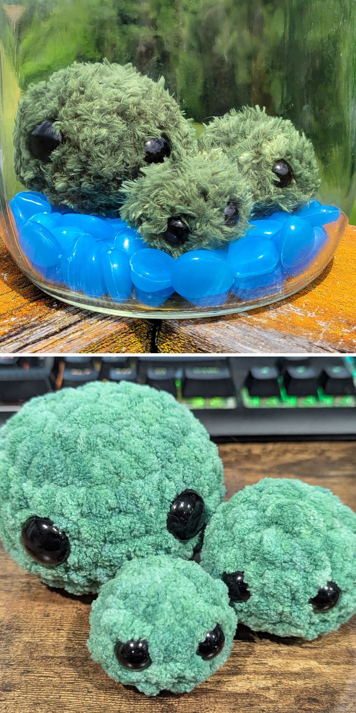 Three small green crochet succulent plushies, made from free crochet patterns, with black eyes are displayed on blue stones in a jar and on a wooden surface.