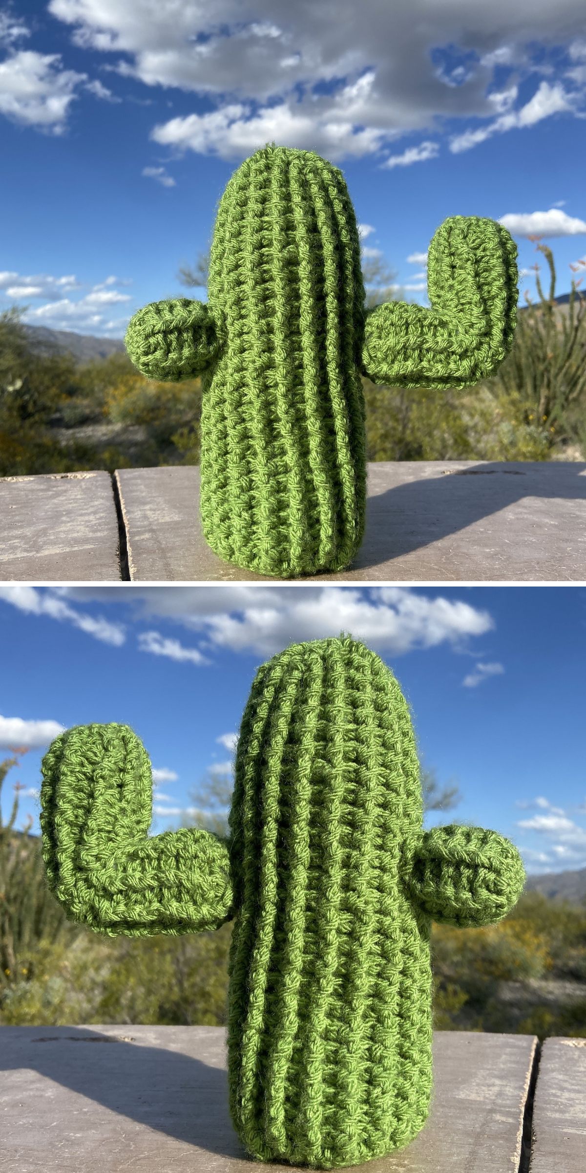 A green crochet plant cactus figure stands on a wooden surface outdoors, surrounded by desert plants, mountains, and a partly cloudy sky in the background.