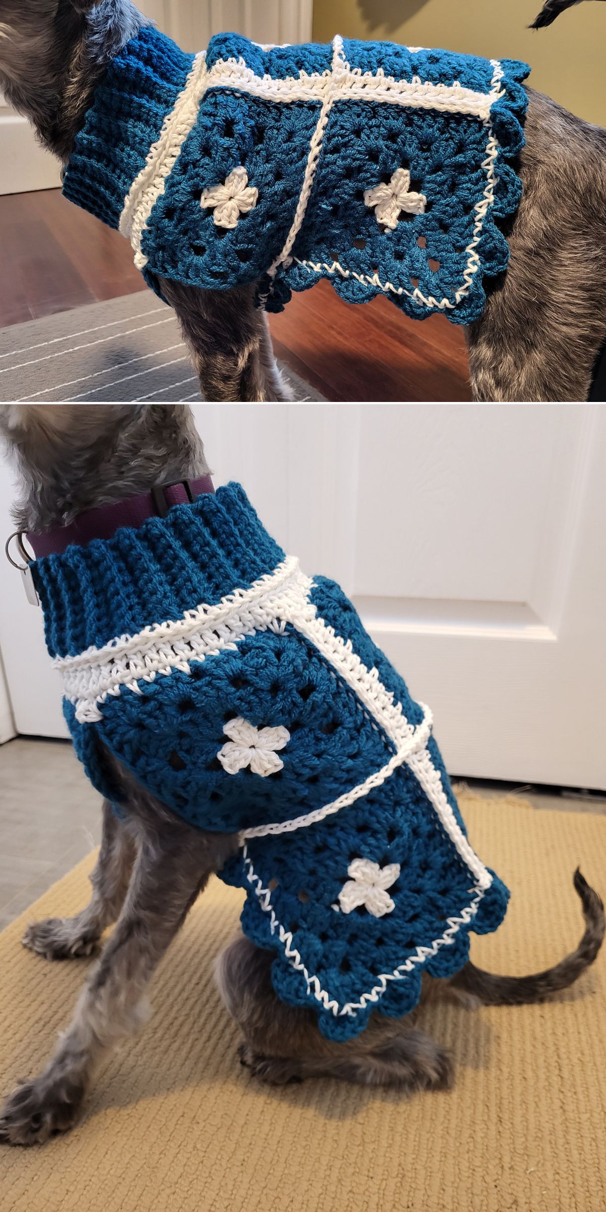 A dog wearing a handmade blue and white crocheted sweater with square patterns and flower motifs, shown from both side and rear angles — perfect for fans of unique crochet dog accessories.