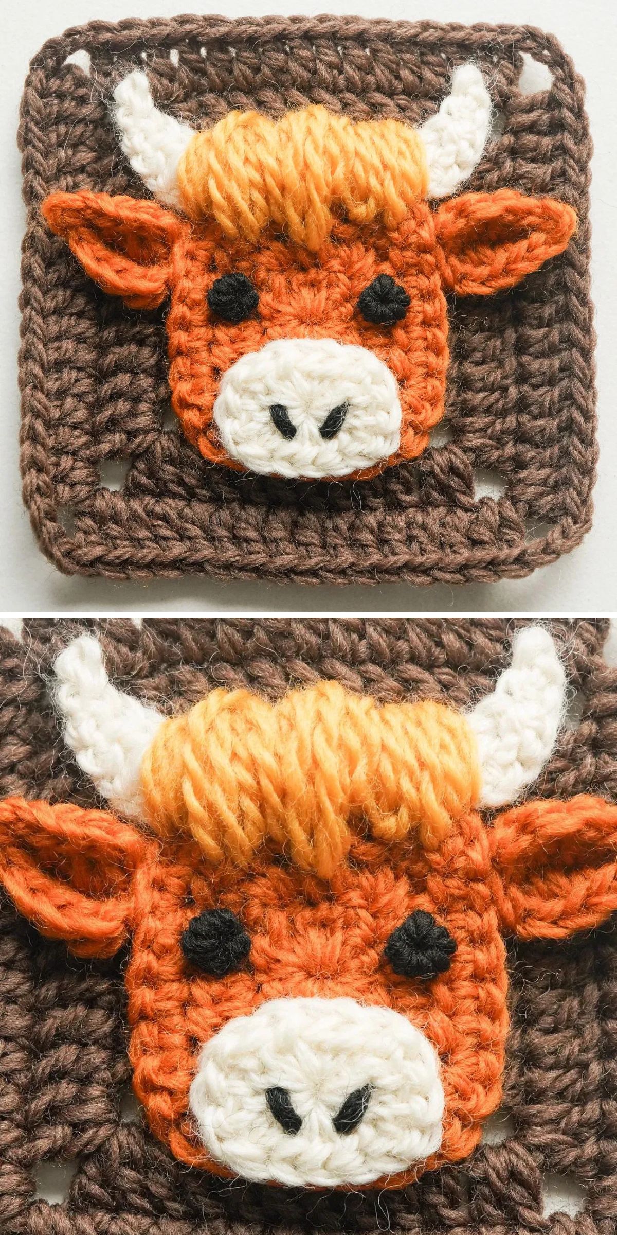 Close-up images of a crochet cow square, showcasing a brown and orange cow face with white horns and black eyes on a brown background.