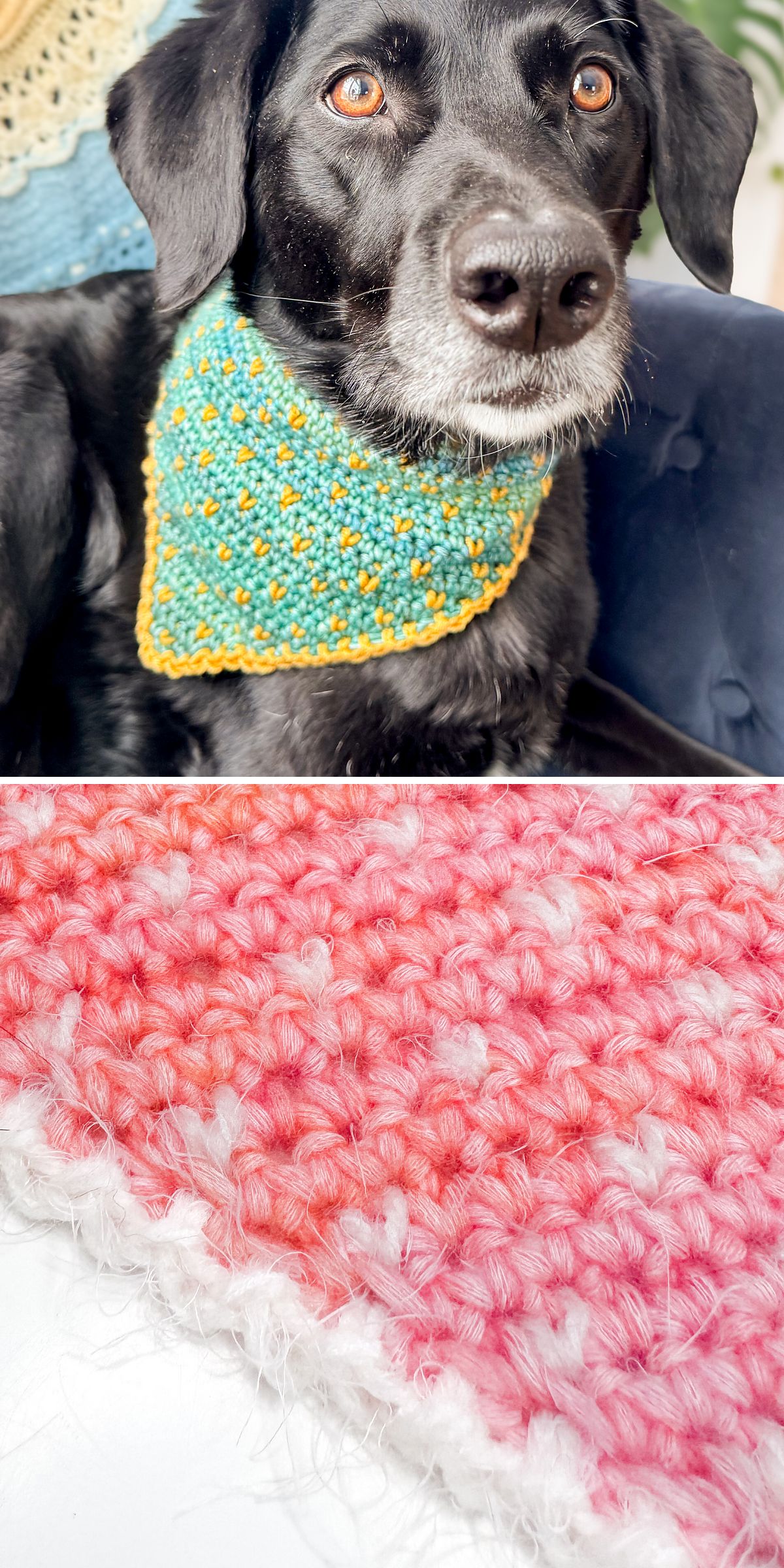 A black dog wearing a blue and yellow crocheted bandana, one of our charming crochet dog accessories, sits on a couch; below is a closeup of a pink and white crochet fabric.