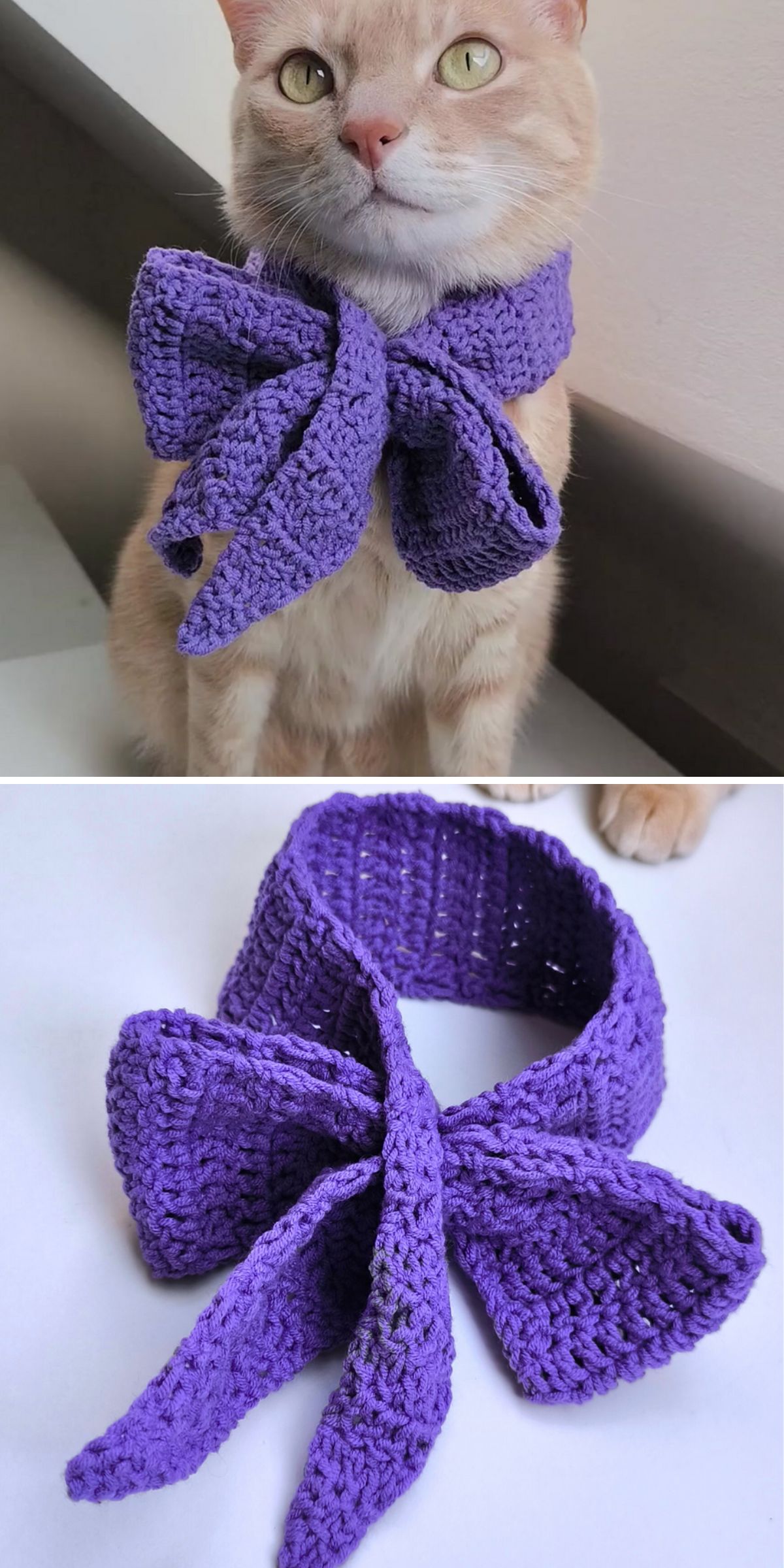 A cat wears a large, purple crocheted bow collar, one of our charming crochet cat accessories; the second image shows the bow collar by itself on a white surface.