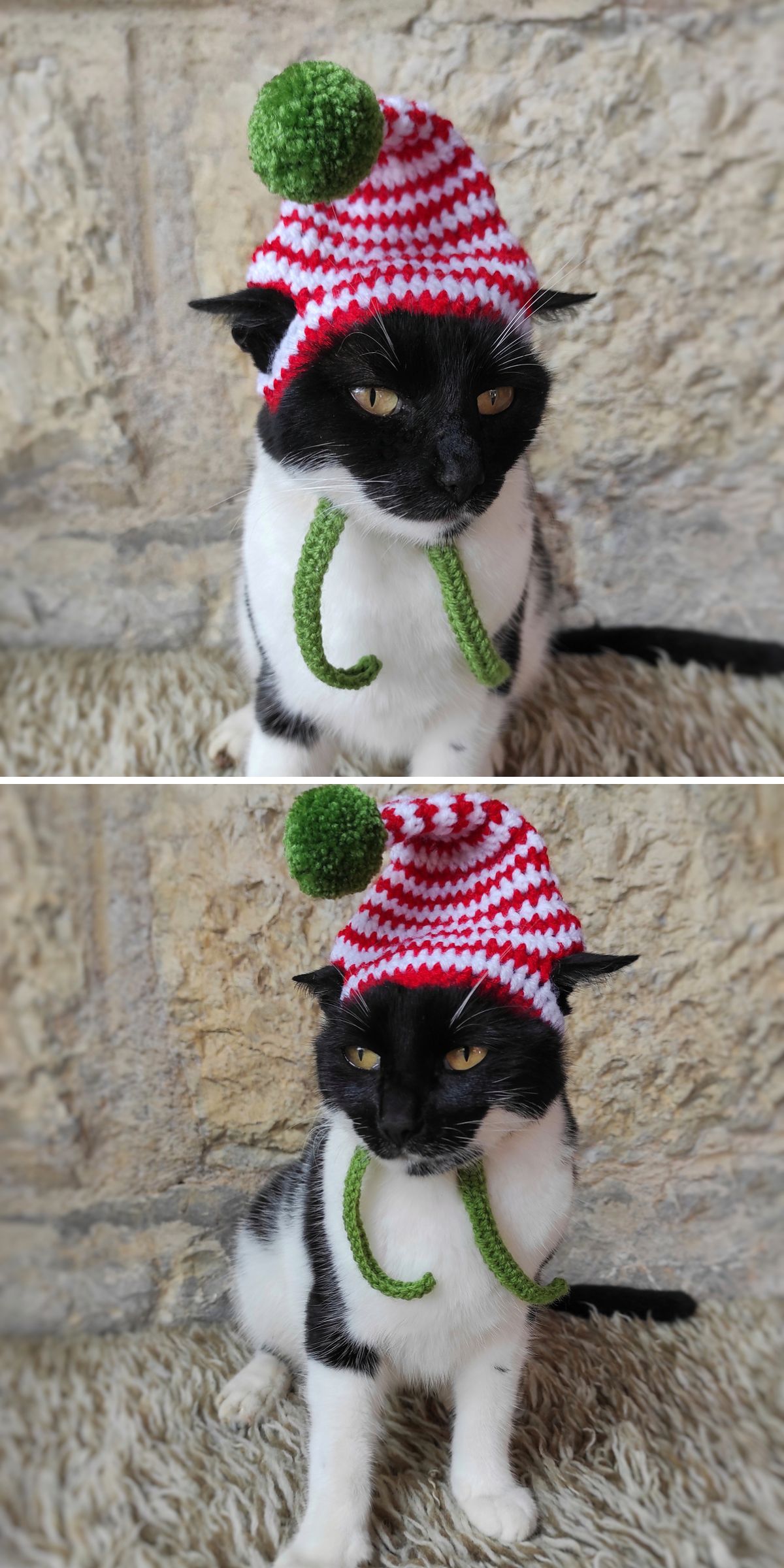A black and white cat wearing crochet cat accessories — a red and white striped hat with a green pompom — sits on a furry surface against a stone wall.