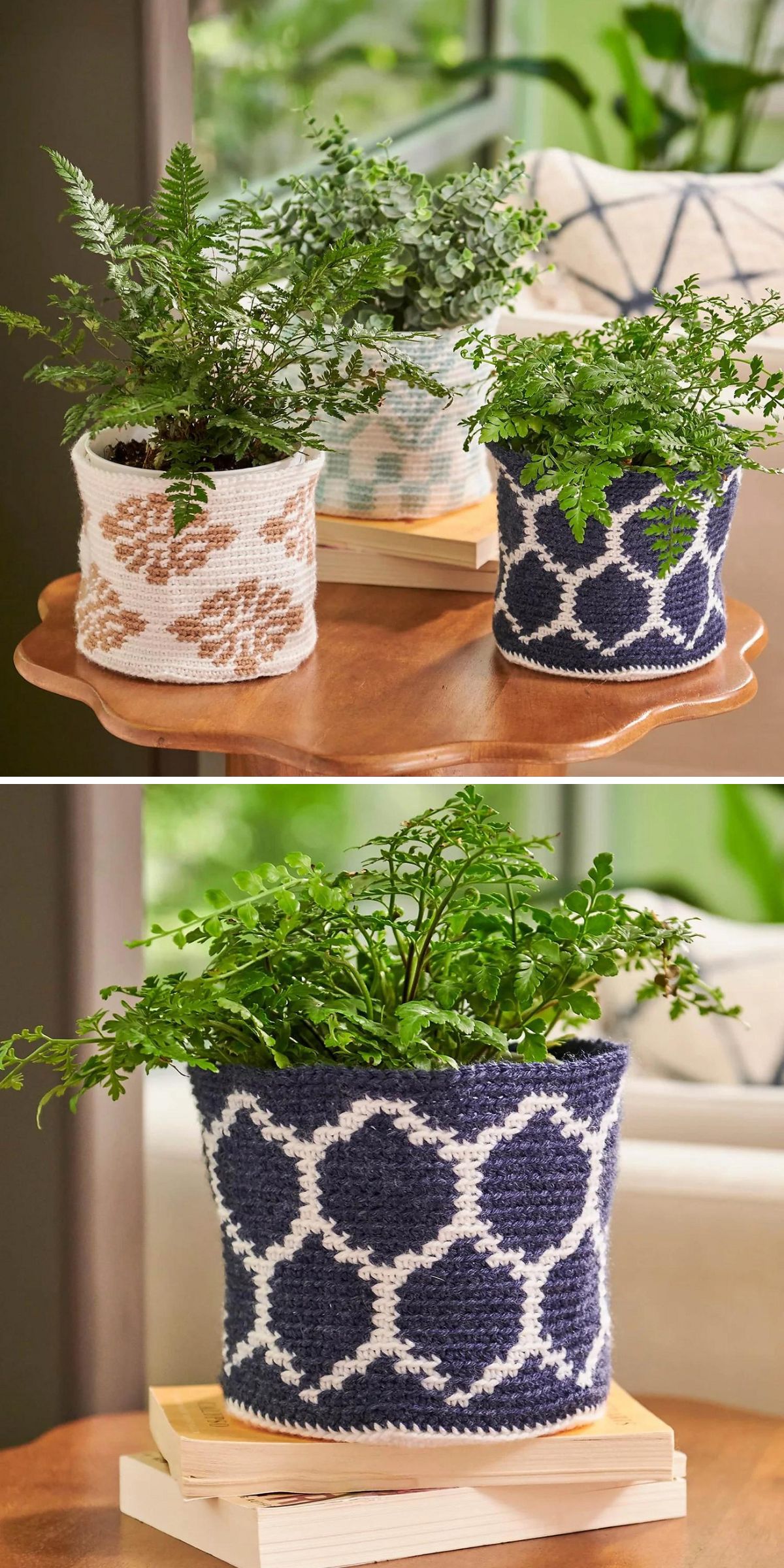 Two images feature potted ferns nestled in crochet plant pot covers with geometric and floral patterns, displayed on wooden surfaces indoors, surrounded by lush green plants in the background.