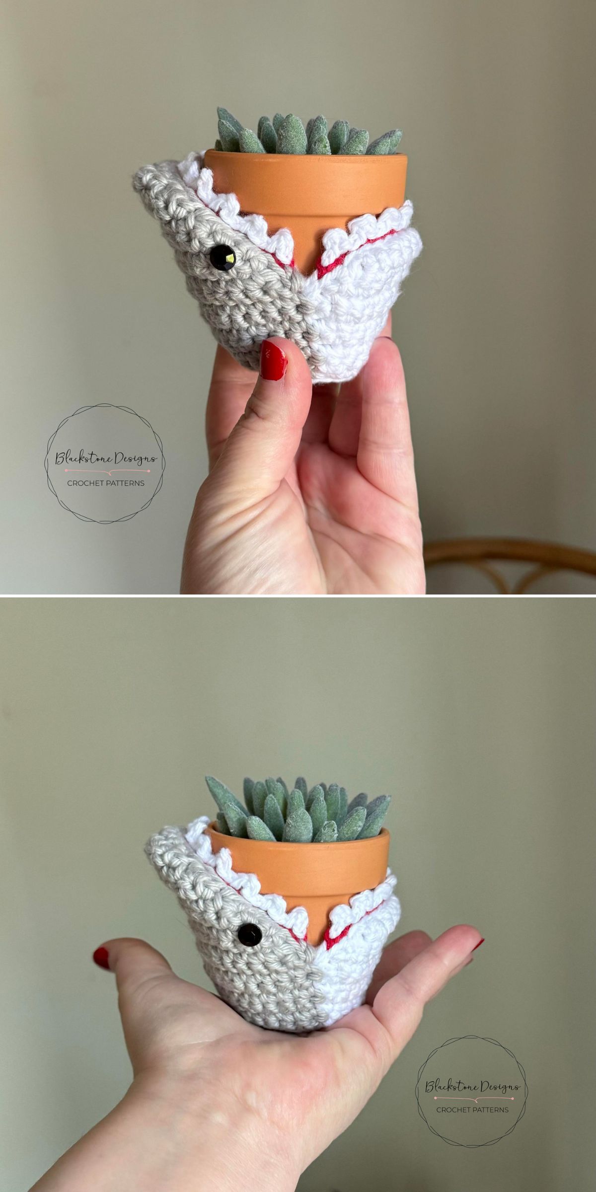 A hand holds a small potted succulent in a terracotta pot, wrapped in a crochet plant pot cover shaped like a shark, complete with button eyes and white teeth details.