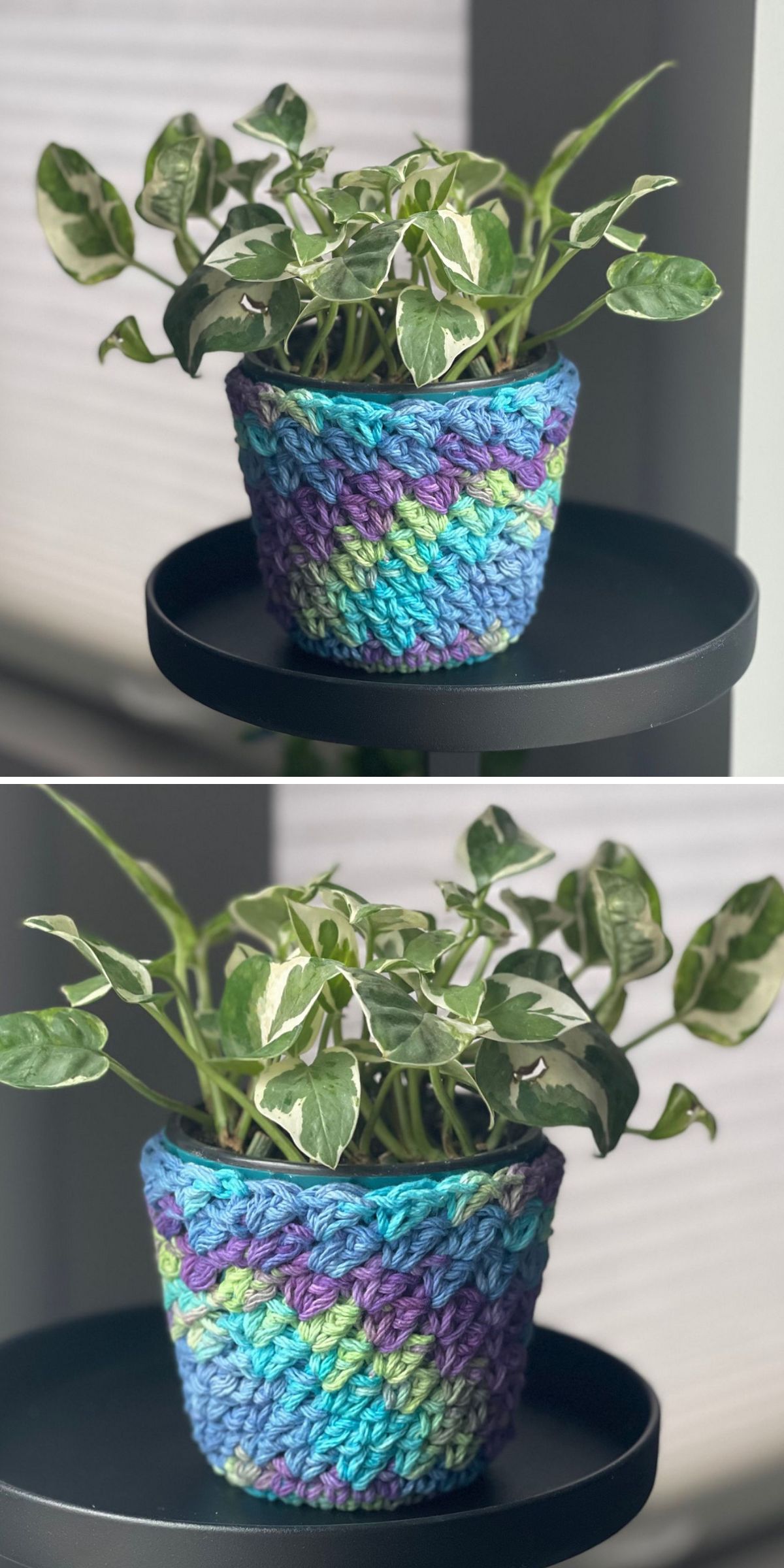 A green potted plant sits on a black surface, its pot adorned with a crochet plant pot cover featuring vibrant blue, green, and purple tones.