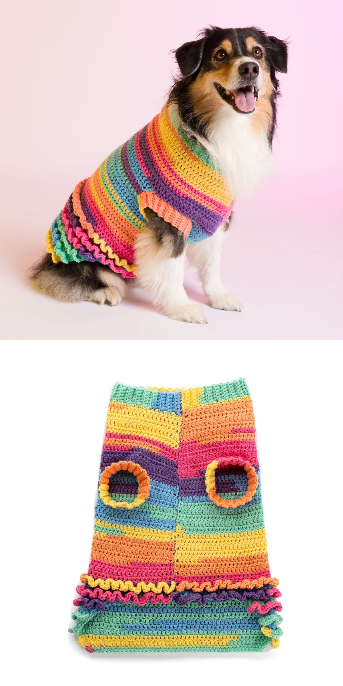 A dog wearing a colorful, striped, crocheted sweater with ruffles—a charming piece among crochet dog accessories—shown sitting, plus a flat lay of the sweater with armholes visible.