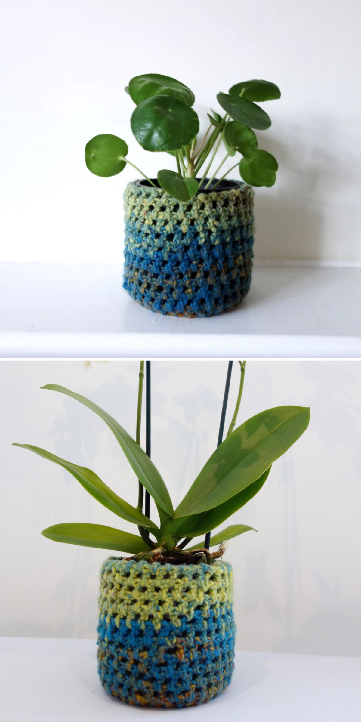 Two potted plants are each placed in a small pot adorned with a vibrant crochet plant pot cover in shades of green, blue, and yellow, set against a plain white background.