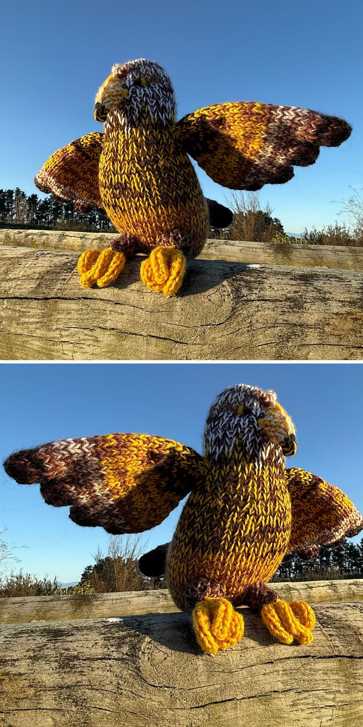 A knit toy hawk with outstretched wings sits on a wooden surface outdoors, photographed from two angles against a blue sky.