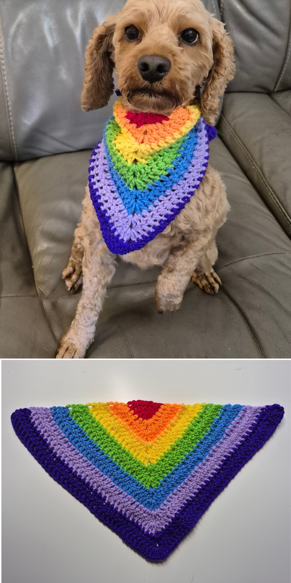A small dog sits on a couch wearing one of our charming crochet dog accessories — a vibrant rainbow bandana; below is a close-up of the same bandana laid flat on a white surface.