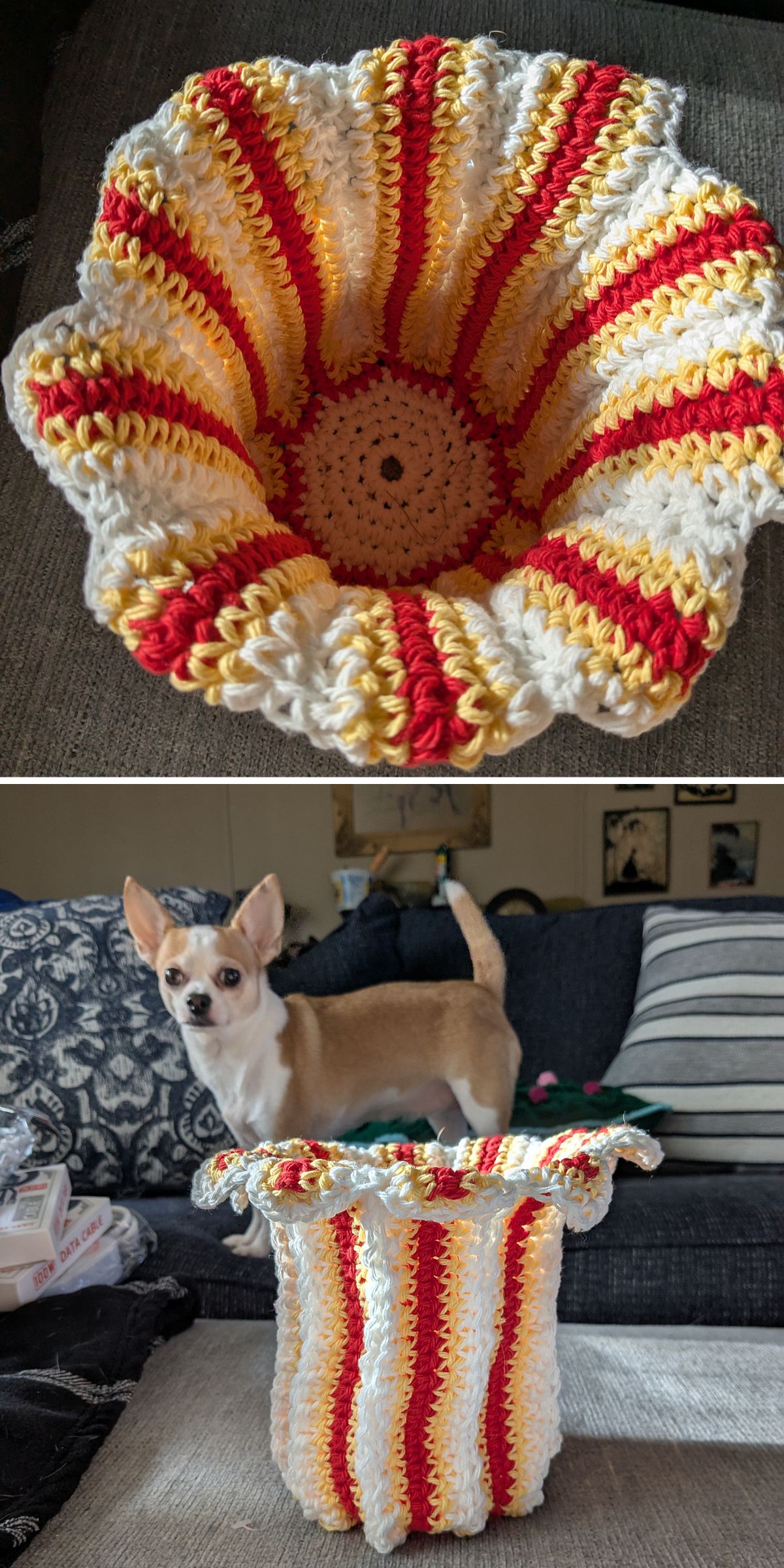 Crocheted vase cozy with red, yellow, and white stripes covers a cylindrical object, while a small dog stands behind it on a couch.