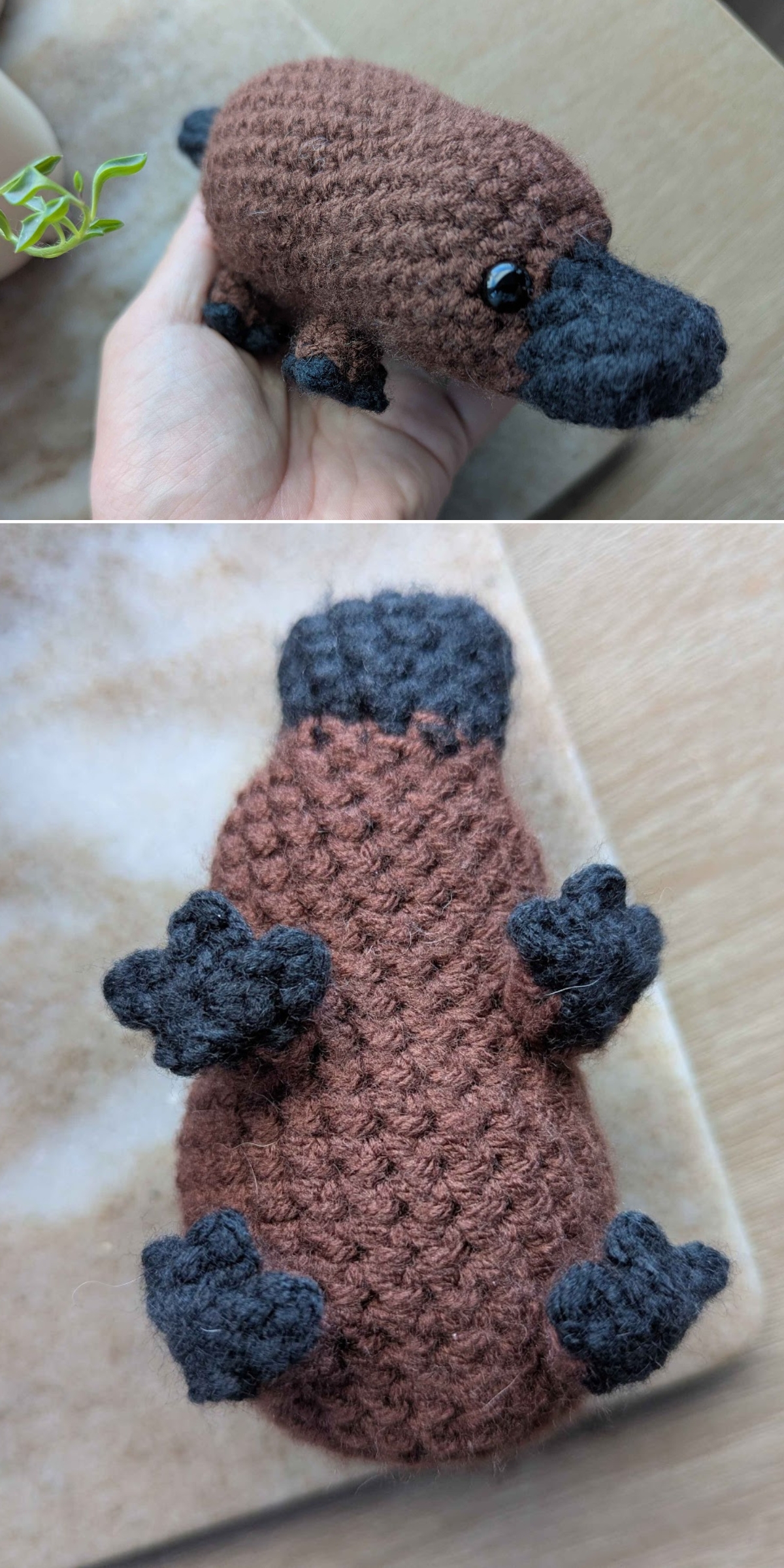 Two photos of a small, hand-crocheted brown and black crochet platypus plush toy, shown from above and below, with visible textured stitching and webbed feet.